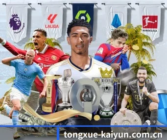 tongxue-kaiyun.com.cn APP
